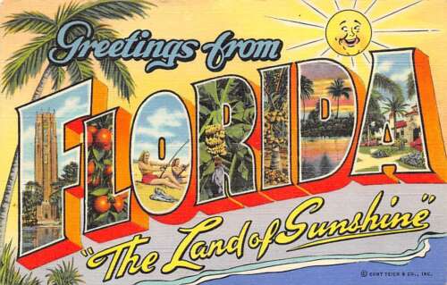 retro florida postcard image