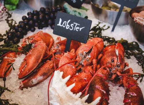 photo of a plate of lobsters